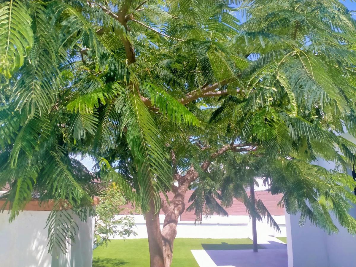 Bungalow Colorado With Garden #4 San Bartolomé Εξωτερικό φωτογραφία